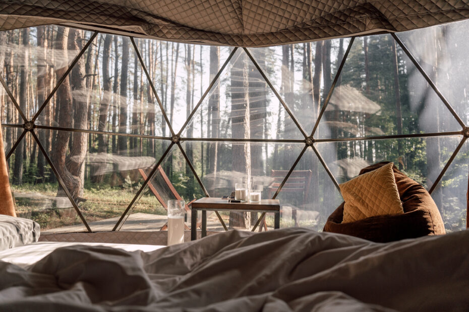 Villy Uley | Открываем двери в лесную Нарнию🍃